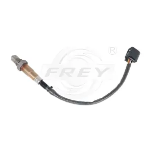 880613501 FREY
