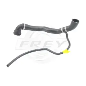 724509301 FREY