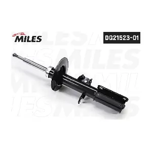 DG21523-01 MILES