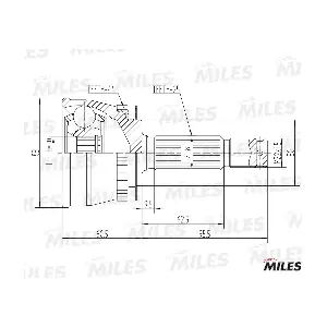 GA20572 MILES