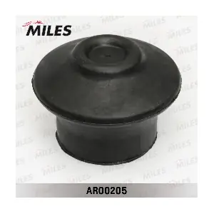 AR00205 MILES