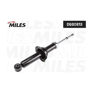DG00813 MILES