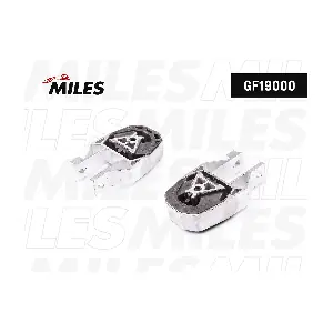 MILES GF19000
