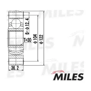 GA10018 MILES