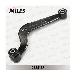 DB61123 MILES