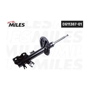 DG11387-01 MILES
