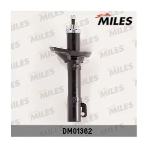 MILES DM01362