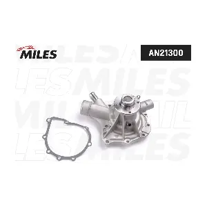 AN21300 MILES