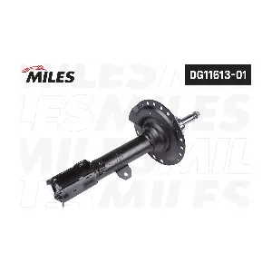 DG11613-01 MILES