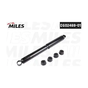 DG02469-01 MILES