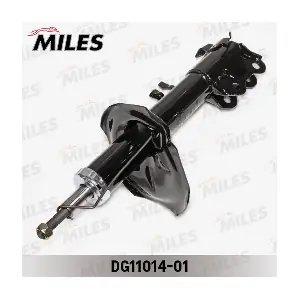 DG11014-01 MILES