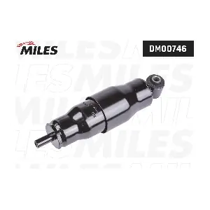 DM00746 MILES
