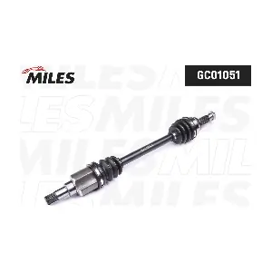 MILES GC01051