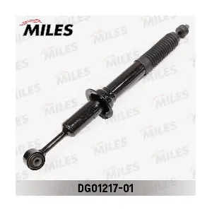 DG01217-01 MILES