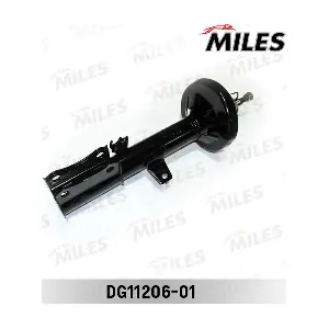 DG11206-01 MILES