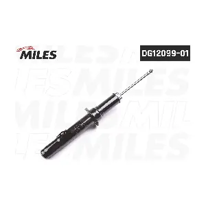 DG12099-01 MILES