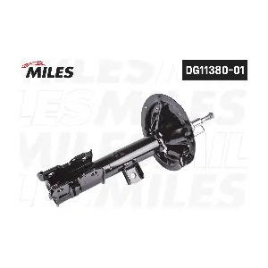 DG11380-01 MILES