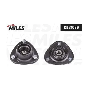 DB31036 MILES