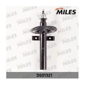 DG01321 MILES