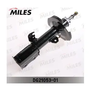 MILES DG21053-01