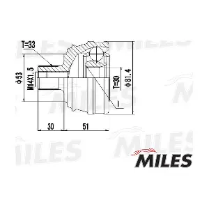 GA20012 MILES
