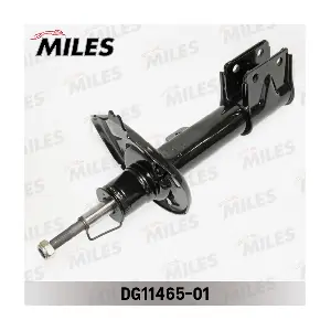 DG11465-01 MILES