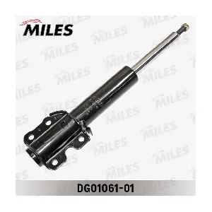 MILES DG01061-01
