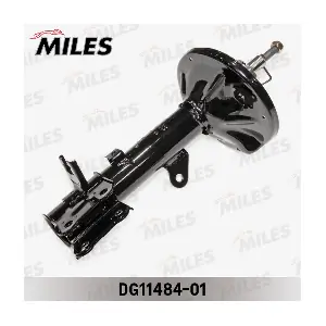 DG11484-01 MILES