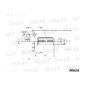 GA20629 MILES