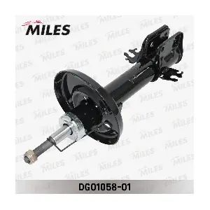 DG01058-01 MILES