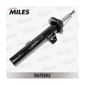 DG11262 MILES