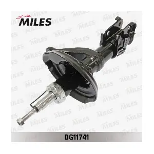 DG11741 MILES