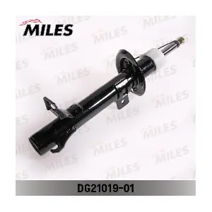 DG21019-01 MILES