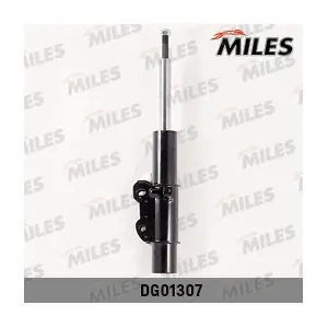 MILES DG01307