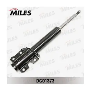 DG01373 MILES