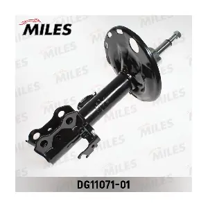 DG11071-01 MILES