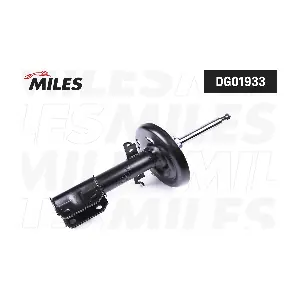 DG01933 MILES