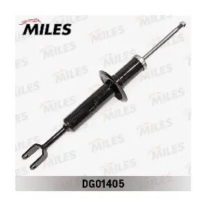 DG01405 MILES