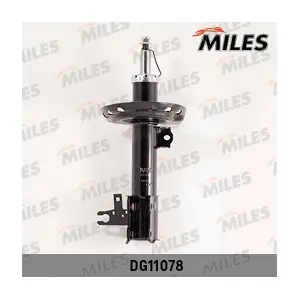 DG11078 MILES