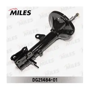 DG21484-01 MILES