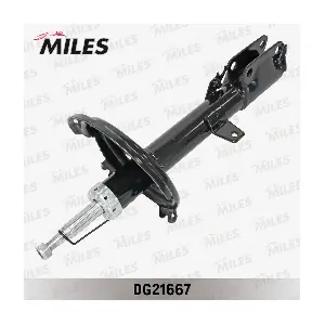 DG21667 MILES