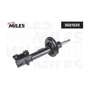 DG21530 MILES
