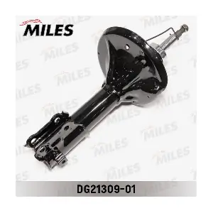 DG21309-01 MILES