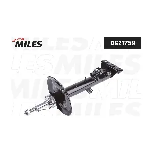 DG21759 MILES