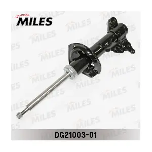 DG21003-01 MILES