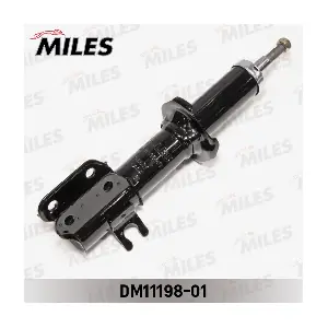 DM11198-01 MILES