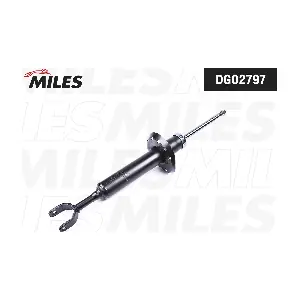MILES DG02797
