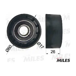 MILES AG03013