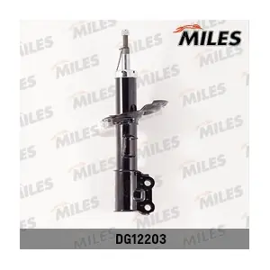 DG12203 MILES