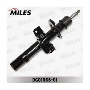 DG01065-01 MILES